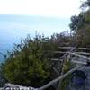  ITALIA 