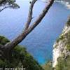  ITALIA 