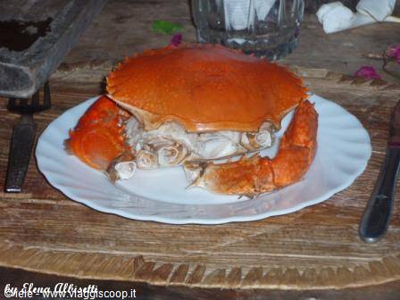 Isola di Robinson - e ancora si mangia