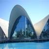 Valencia-Museo delle arti e della scienza SPAGNA 