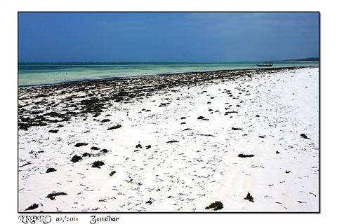 zanzibar