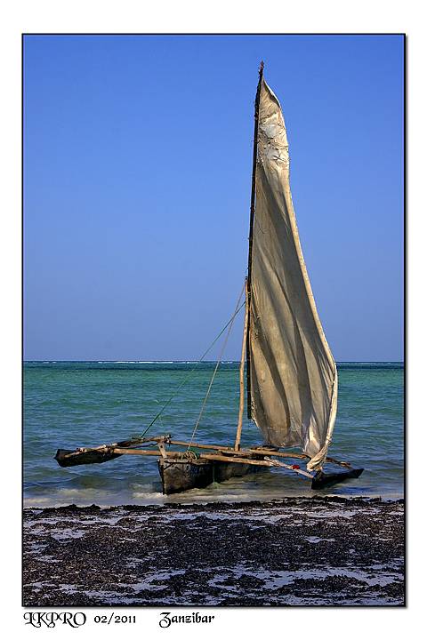 zanzibar