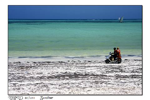 zanzibar