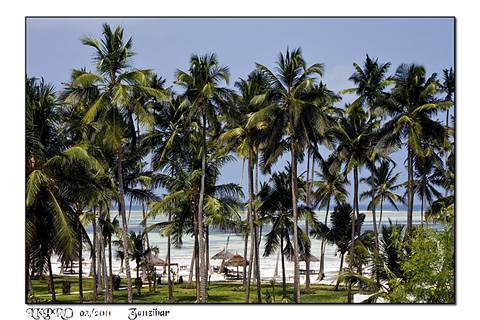 zanzibar