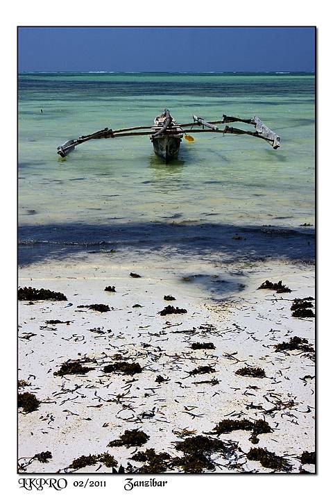 zanzibar