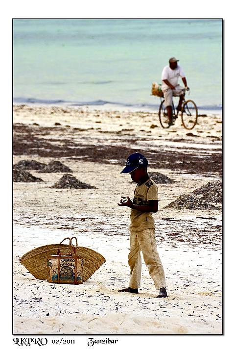 zanzibar