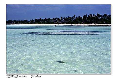 zanzibar