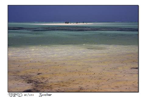 dettaglio