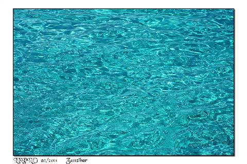 dettaglio
