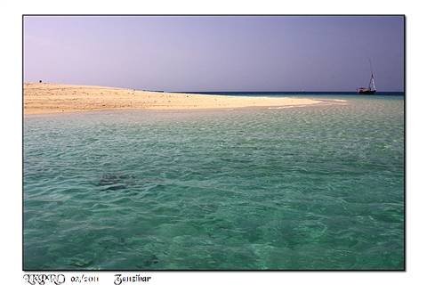 dettaglio