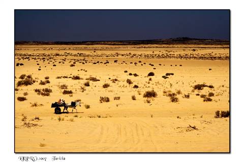 deserto