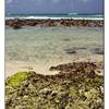 foto viaggio REPUBBLICA DOMINICANA