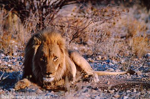 namibia