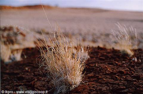 namibia