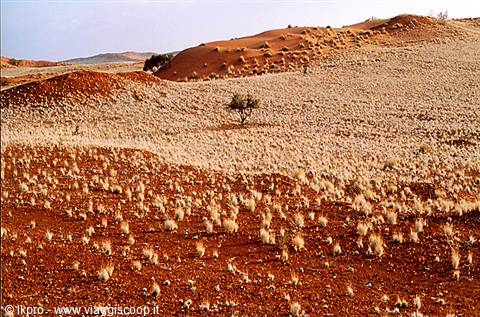 namibia