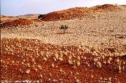 namibia