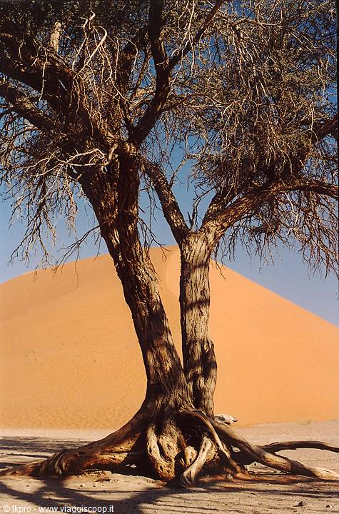 namibia