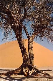 namibia