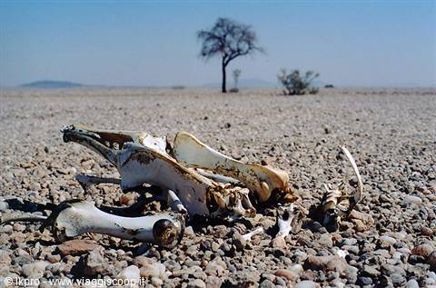 namibia