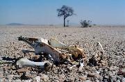 namibia