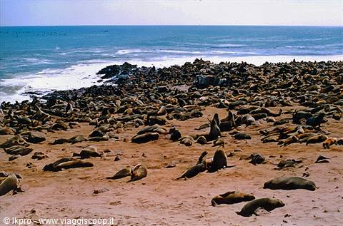 namibia