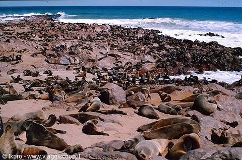 namibia