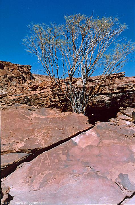 namibia