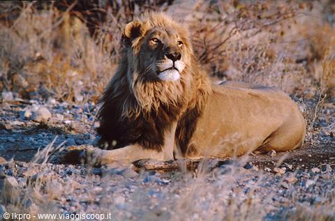 namibia
