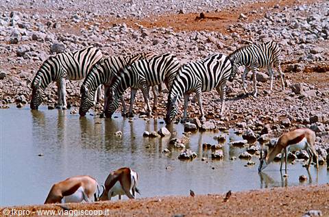 namibia