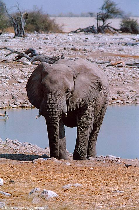 namibia