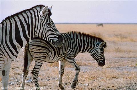namibia