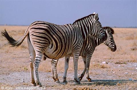 namibia