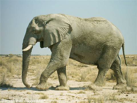 namibia