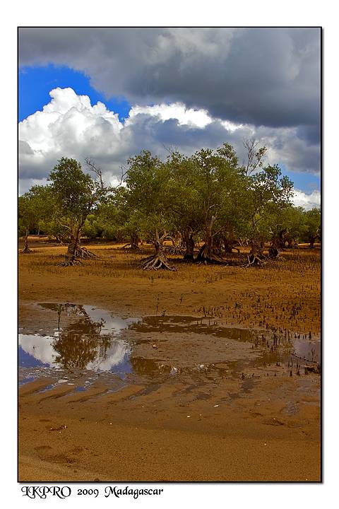 veduta