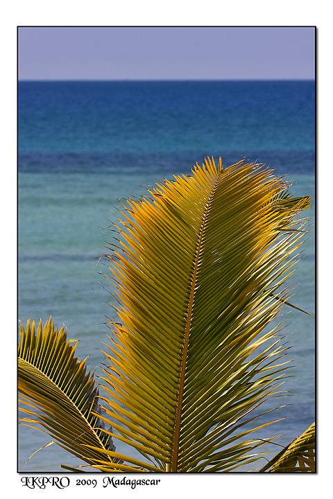 Madagascar