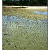 veduta MADAGASCAR 