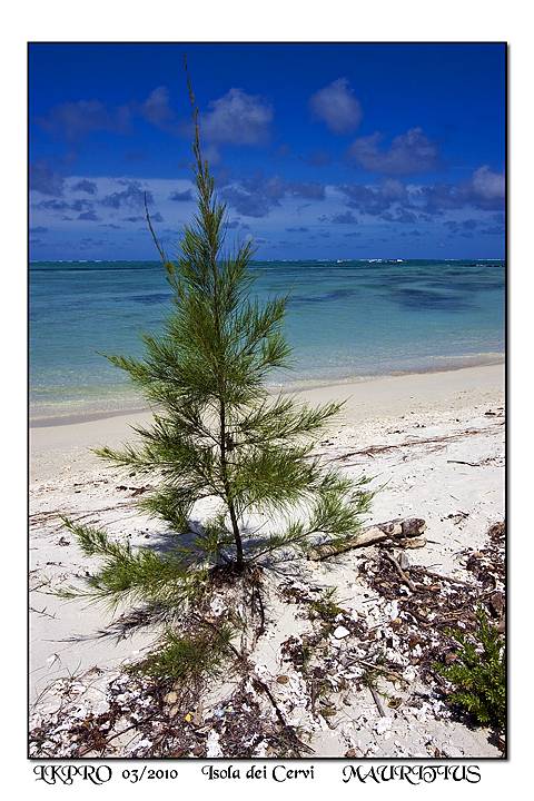 Mauritius