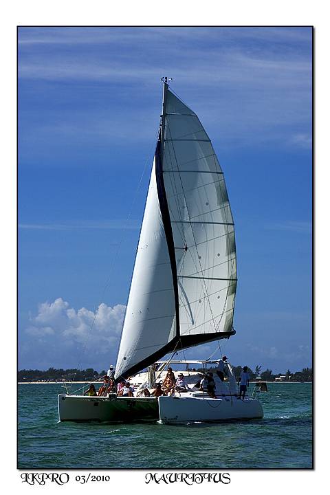 dettaglio