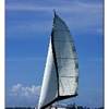 dettaglio MAURITIUS 