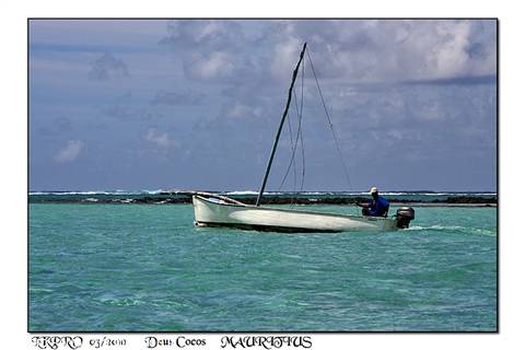 dettaglio