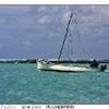 dettaglio MAURITIUS 