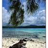 dettaglio MAURITIUS 