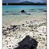 dettaglio MAURITIUS 