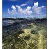 dettaglio MAURITIUS 