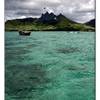dettaglio MAURITIUS 