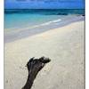 dettaglio MAURITIUS 