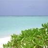 foto viaggio MALDIVE