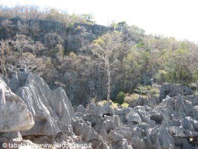 Tour del nord - Parco dell'Ankarana, piccoli Tsingy -