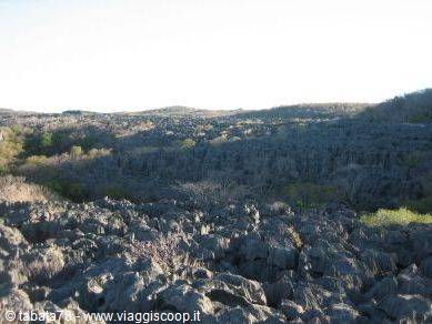 Tour del nord - Parco dell'Ankarana, grandi Tsingy -