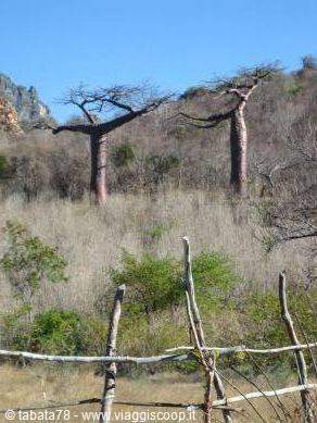 Tour del nord - Diego Suarez -